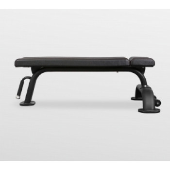 Скамья горизонтальная Bronze Gym BR-1002